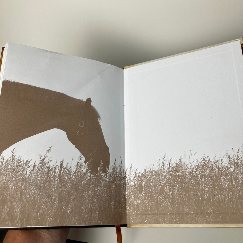 Thomas Nelson Book 100 Devotions from Horse Farm Cara Whitney Hardcover Brown - Picture 13 of 13